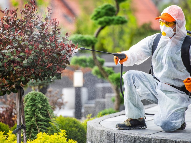 Korkuteli Haşere İlaçlama